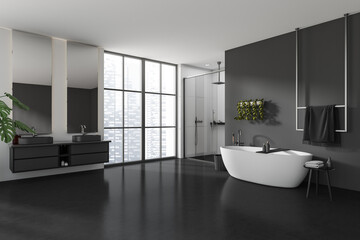Stylish bathroom interior with double sink, tub and douche near window