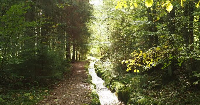 Hotzenwald im Naturpark S&uuml;dschwarzwald. Hotzenpfad 'Schwarzw&auml;lder Genie&szlig;erpfad'. Heidenwuhr und dem k&uuml;nstlichen Hangkanal 