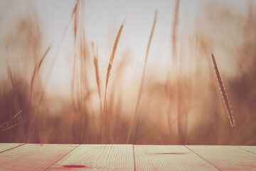 wooden table and meadows blur background