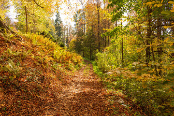 Golden autumn in the city park on a bright sunny day