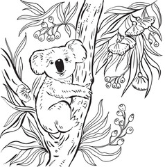 Cute Koala On A Eucalyptus Tree Children's Coloring Pages Drawing Vector - 540402419
