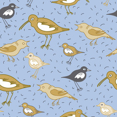 Doodle style birds seamless pattern on blue background.