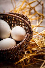 Panier avec oeufs sur la paille