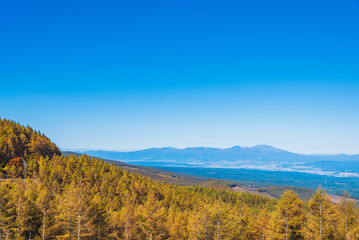 Fototapeta na wymiar カラマツ林の向こうに見える浅間山と佐久平　長野県小海町　