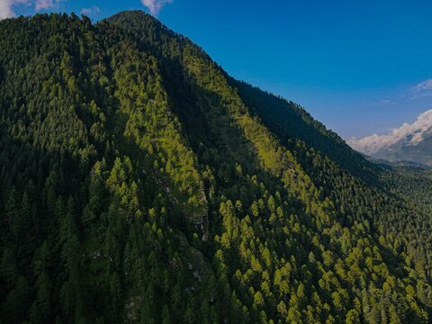Scenic view of mountains covered with green forests on a sunny day