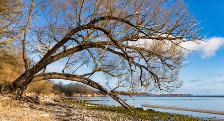 Deutsche Ostseeküste im Frühjahr