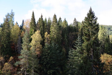 Ecosse, Grande bretagne