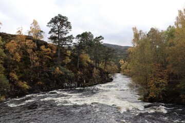 Ecosse, Royaume-uni