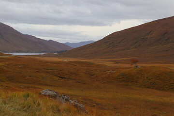Fototapeta premium Ecosse, Royaume-uni