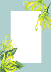 Philippine flora invitation template Cananga odorata Ylang ylang