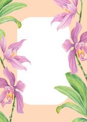 Fototapeta na wymiar Philippine flora invitation template Phalaenopsis pulchra orchid