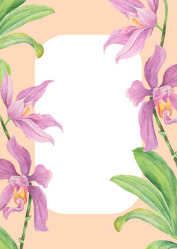 Philippine flora invitation template Phalaenopsis pulchra orchid