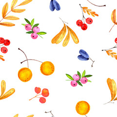 Seamless watercolor pattern autumn berries and seeds on a white background.