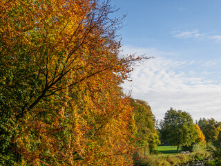 Herbst am Fluß Aa im Münsterland