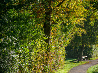 Obraz premium Herbst am Fluß Aa im Münsterland