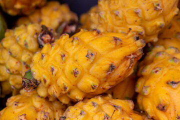 Pitaya, also called dragon fruit : cultivated throughout tropical and subtropical regions of the world.