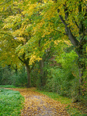 Herbst am Fluß Aa im Münsterland