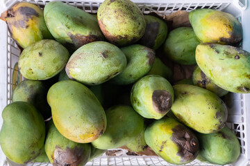 Mangoes in baskets that are rejected because they are rotten cannot be eaten and sold