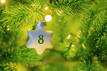 ein Weihnachtsstern mit einer Zahl (8) am Weihnachtsbaum