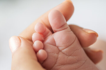 Tiny foot of a newborn baby in the mother's palms.  Mom holds a newborn baby's foot in her hands.  Close-up of a newborn baby's foot. Mother loves her baby. The concept of motherhood and parenthood