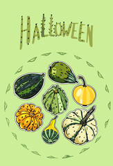 vector autumn card with the inscription Halloween from pumpkins, patissons, zucchini on a green background