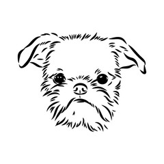 Fototapeta premium Brussels Griffon Dog, Pet Portrait, Brussels Griffon Dog Line Art, Pet Line Art, Pet Tattoo, Line Drawing, Dog Art, Minimalist