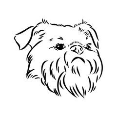 Obraz premium Brussels Griffon Dog, Pet Portrait, Brussels Griffon Dog Line Art, Pet Line Art, Pet Tattoo, Line Drawing, Dog Art, Minimalist