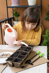 Little girl watering planted seeds from a watering can. Kid plants and waters young seedlings and shoots of greenery indoors. Home gardening with kids on the balcony. education. Homeschooling, Botany