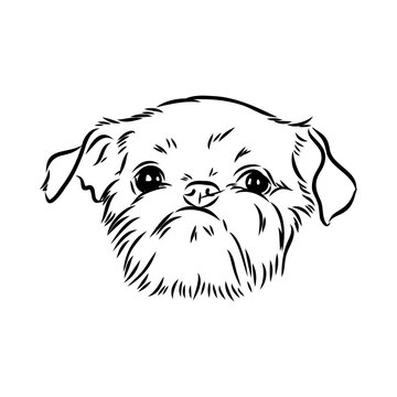 Brussels Griffon Dog, Pet Portrait, Brussels Griffon Dog Line Art, Pet Line Art, Pet Tattoo, Line Drawing, Dog Art, Minimalist