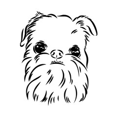 Obraz premium Brussels Griffon Dog, Pet Portrait, Brussels Griffon Dog Line Art, Pet Line Art, Pet Tattoo, Line Drawing, Dog Art, Minimalist