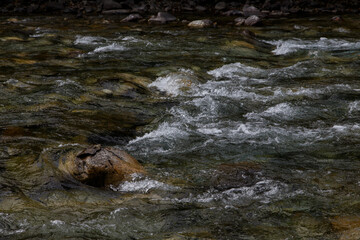 a large stone lies in the middle of a clear mountain river. The river bends around the stones...