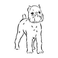 Brussels Griffon Dog, Pet Portrait, Brussels Griffon Dog Line Art, Pet Line Art, Pet Tattoo, Line Drawing, Dog Art, Minimalist