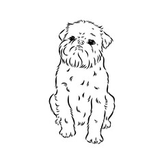 Brussels Griffon Dog, Pet Portrait, Brussels Griffon Dog Line Art, Pet Line Art, Pet Tattoo, Line Drawing, Dog Art, Minimalist