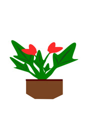 Decorative Flower pot plant