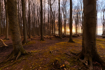 Panorama Steilküste Ostsee Nienhagen