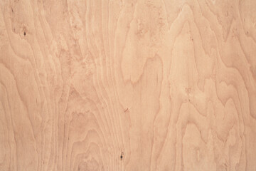 Clear texture of birch plywood coated with linseed oil