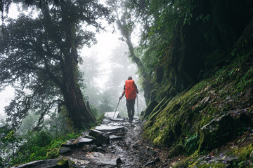 Young hiker traveling across hazy mountain forest. Man tourist walk by foggy rocky track wearing backpack