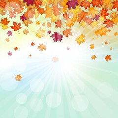 Obraz na płótnie Canvas Autumn Maple Frame