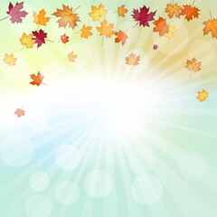 Obraz na płótnie Canvas Autumn Maple Frame