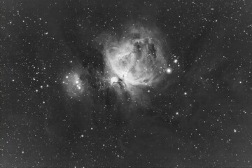 Orion nebula in black and white © Silvio