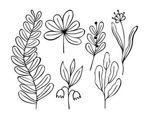Set doodle flower twigs hand drawn, contour, isolated, white background.