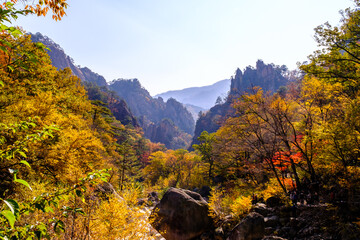Obraz premium Autumn colors of Seoraksan National Park