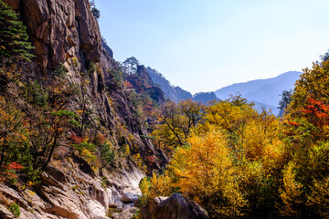 Fototapeta na wymiar Autumn colors of Seoraksan National Park