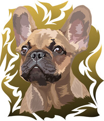 French Bulldog. Vector illustration. Portrait on a colored background