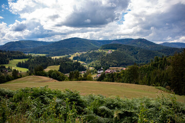 View of natural green low mountain range landscapes of the Black Forest in summer