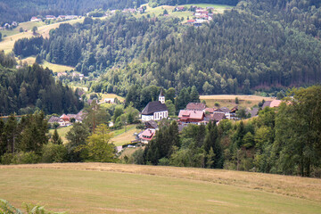 View of natural green low mountain range landscapes of the Black Forest in summer