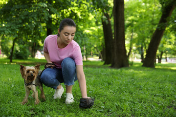 Woman picking up her dog's poop from green grass in park, space for text