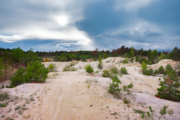 Deforestation in the woods with sandy slopes