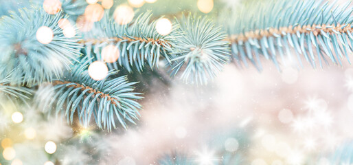 Closeup of Christmas tree background