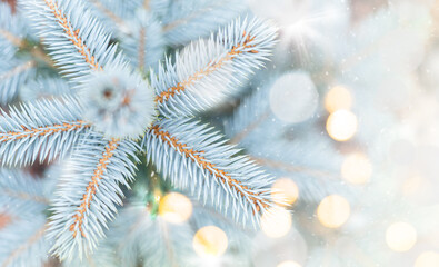 Closeup of Christmas tree background